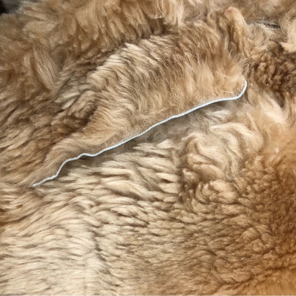 Tan Shearling and Leather Coat - Picture 6 of 7